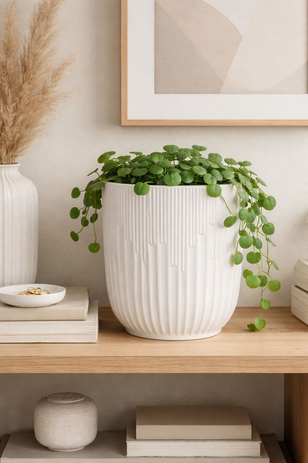 საყვავილე ქოთანი  C5434